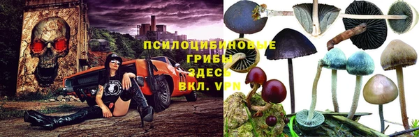 MDMA Premium VHQ Краснослободск