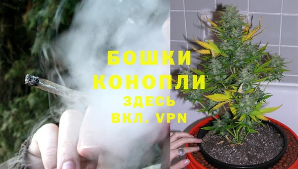 молекула духа Тихвин