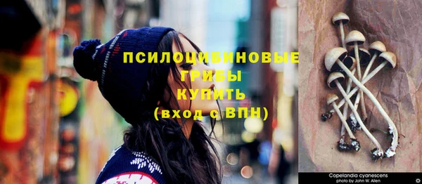 MDMA Premium VHQ Краснослободск